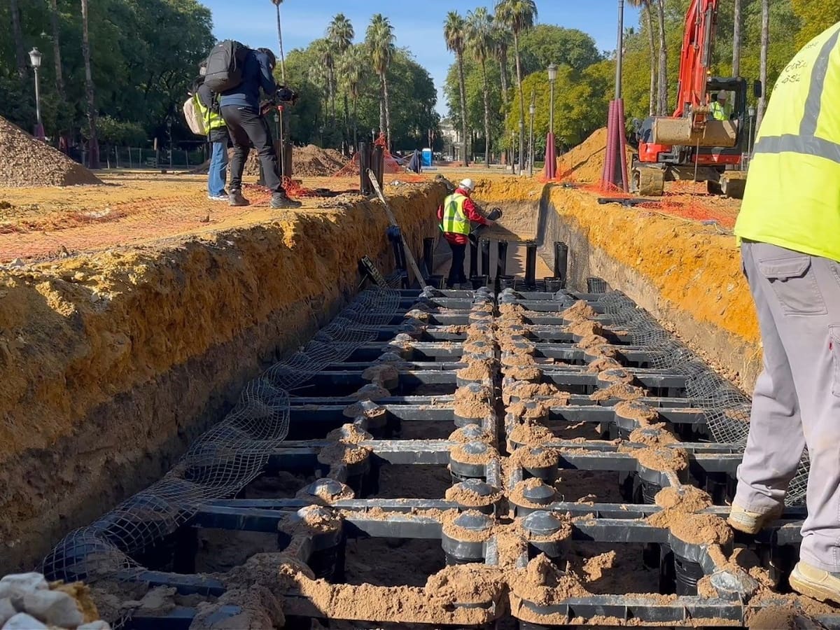 Instalan un nuevo sistema de geoceldas para mejorar los árboles del Prado de San Sebastián