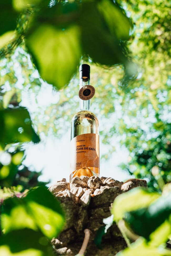 De Licores Biniarbolla