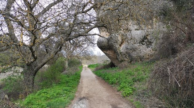 El camino hasta la cueva del Moro discurre junto al río Huécar.