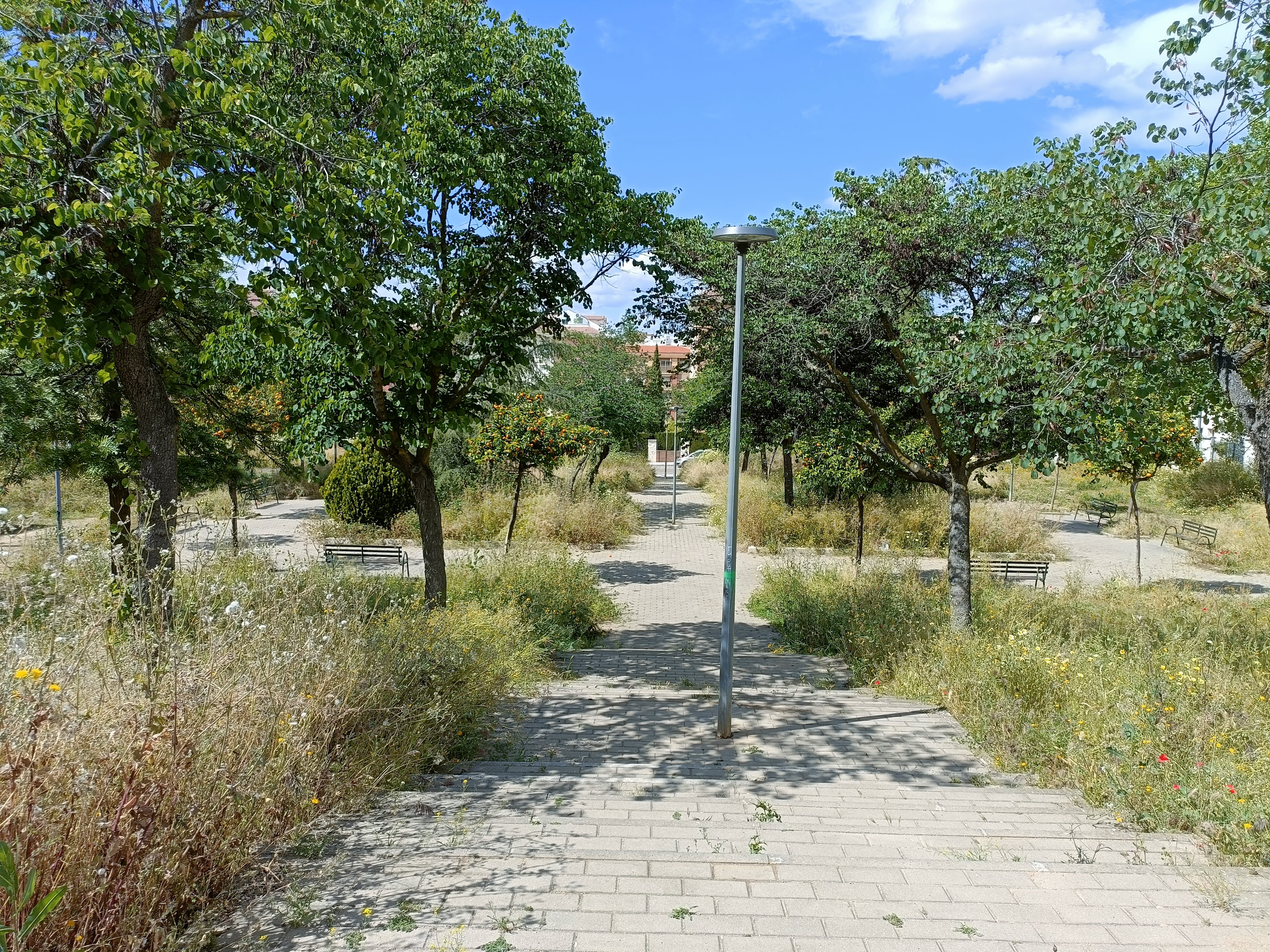 Parque Berenjenas de Linares.