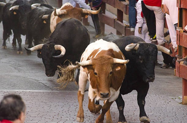 La zona naranja de estacionamiento se aplicará en todo Pamplona hasta el final de las fiestas