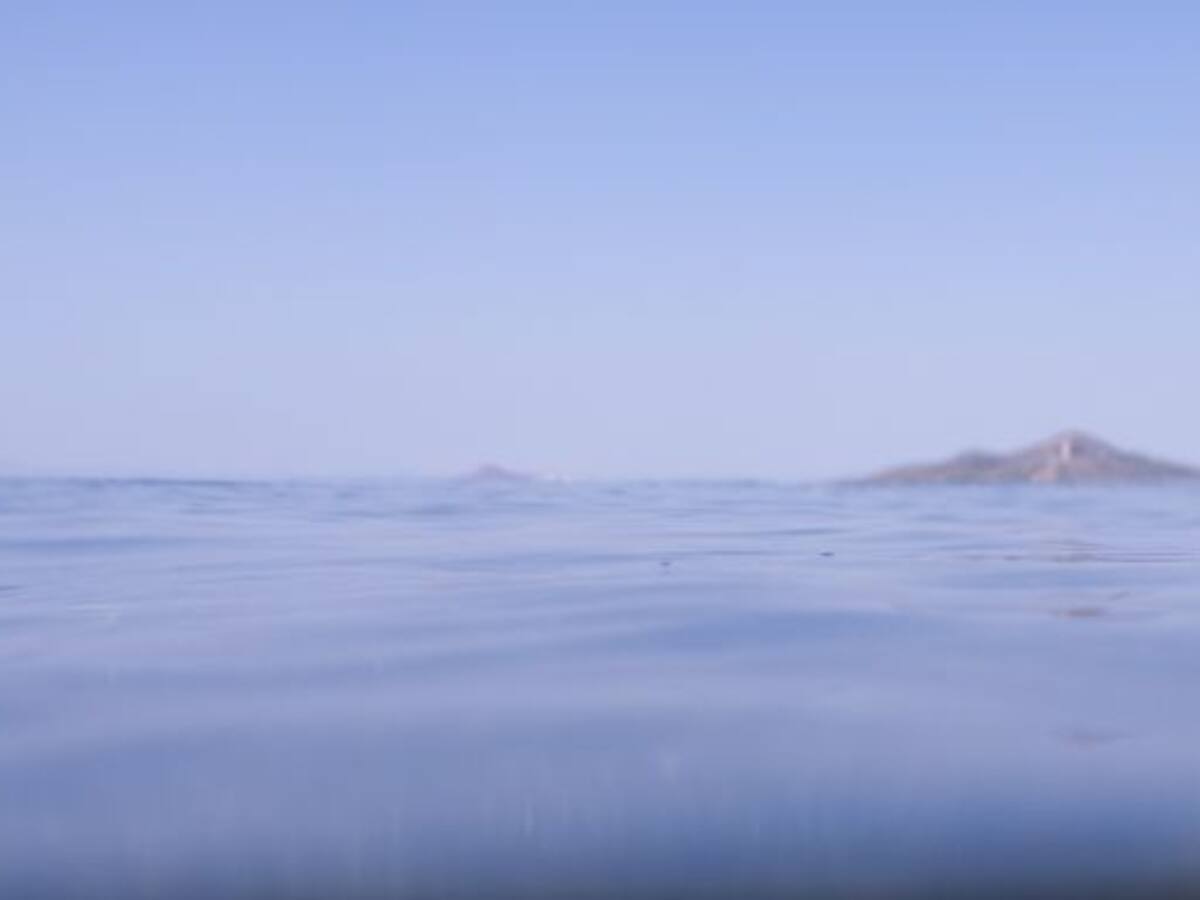 Pacto por el Mar Menor advierte: "una mayor transparencia no es sinónimo de recuperación"