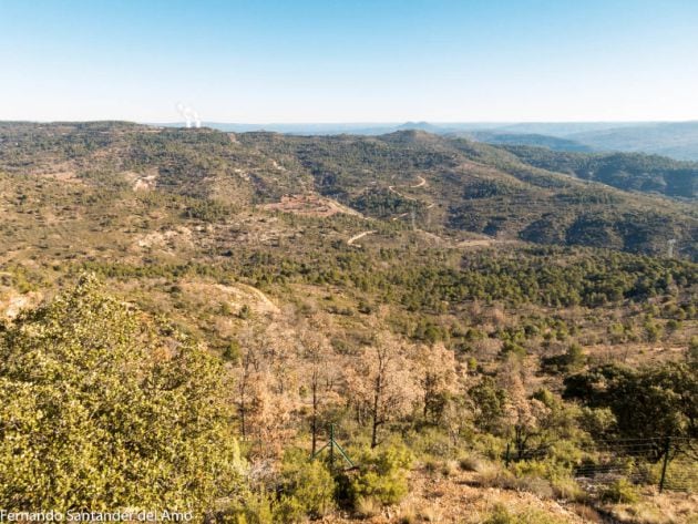 Vistas desde el mirador de Budia.