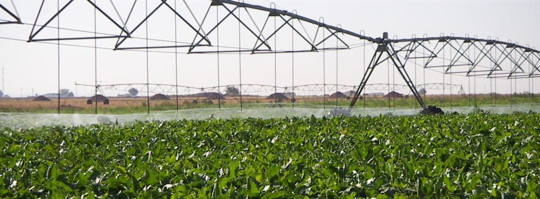 El año hidrológico recién terminado es el más húmedo desde 2013