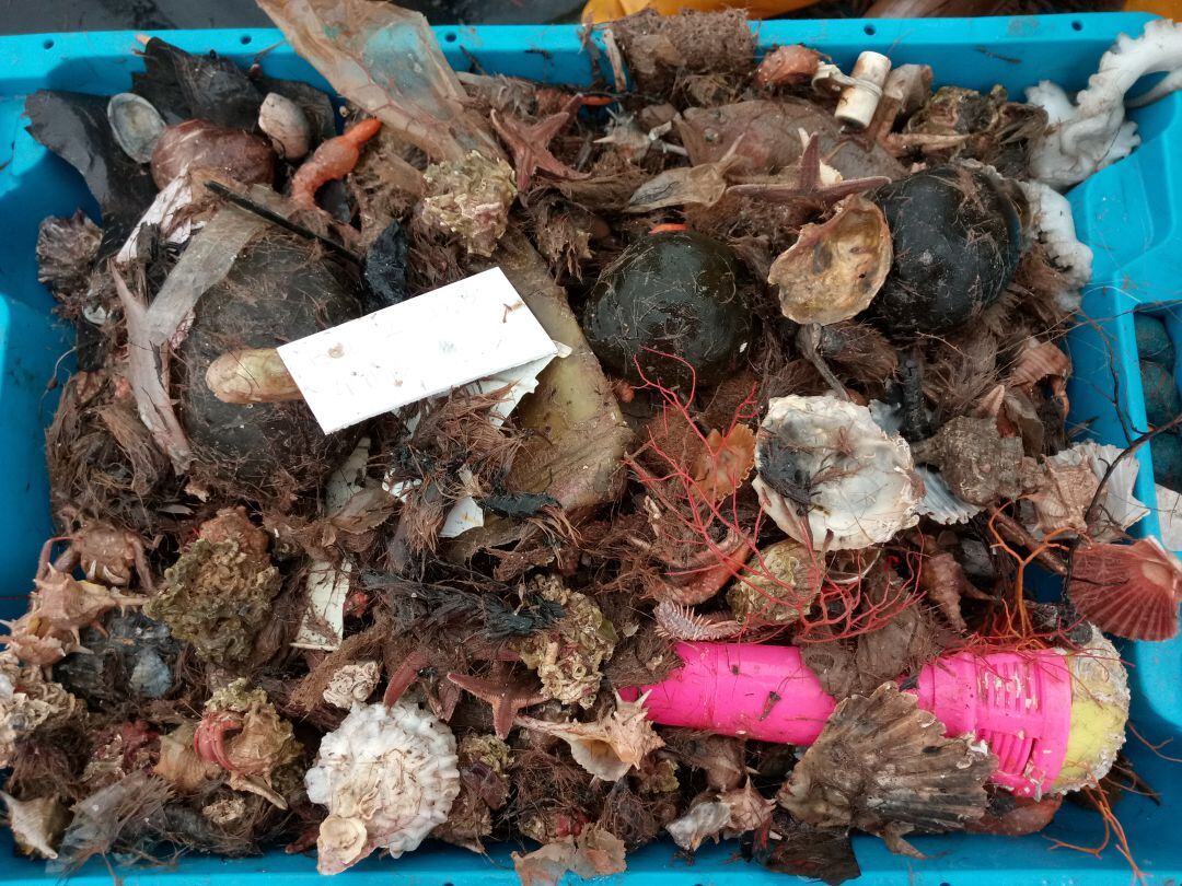 Una de las cajas repletas de basura recogidas durante el estudio. 