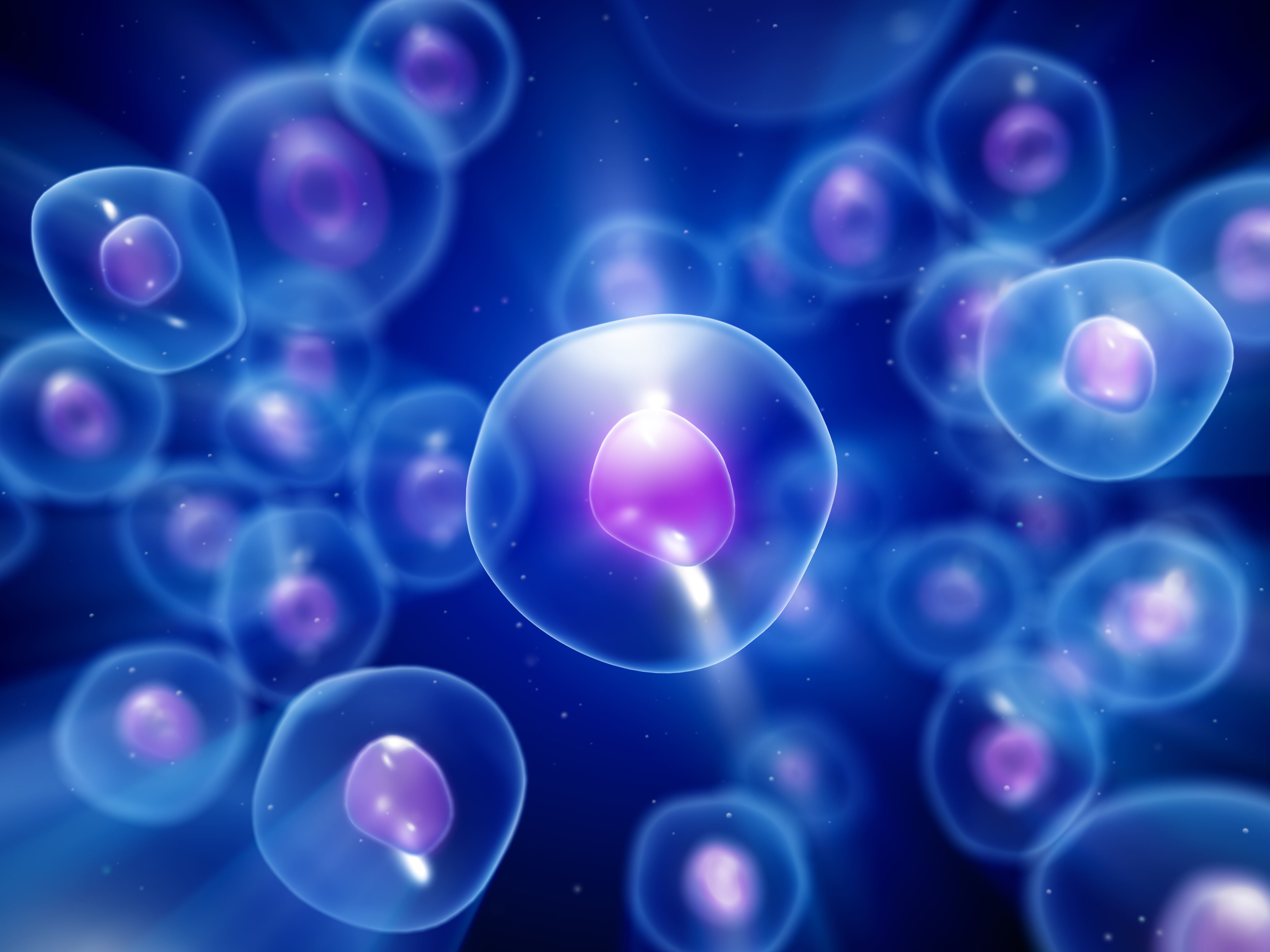Grupo de células bajo un microscopio