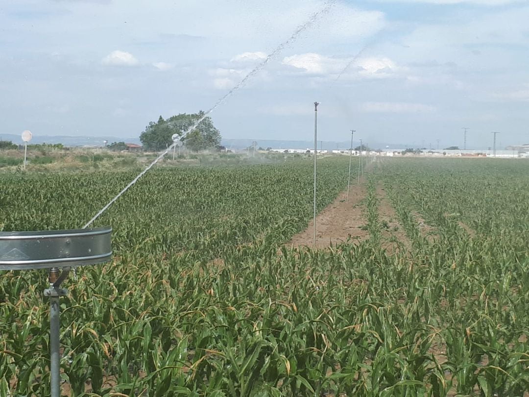 El agua del Canal de Navarra llega a Funes.