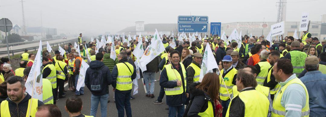 Movilización en defensa de precios justos para el aceite de oliva el pasado 30 de enero.
