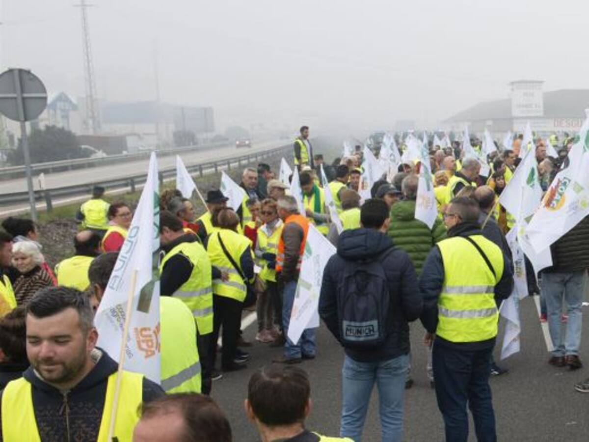 Linares y todos los municipios de la provincia se concentran en defensa del olivar