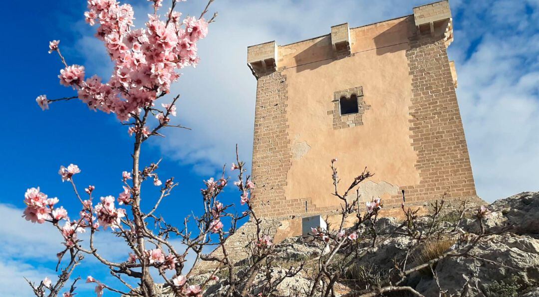 Imagen del Castell de Cocentaina