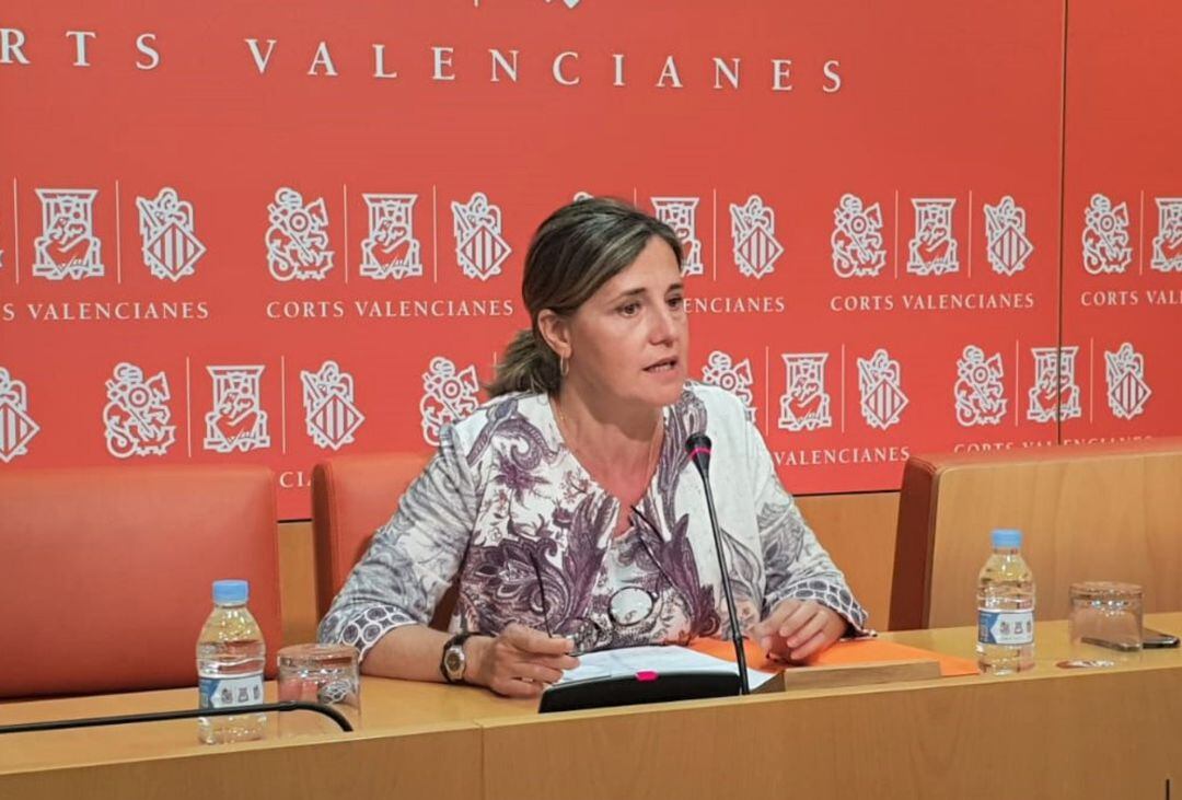 Elena Bastidas, en una comparecencia en Les Corts