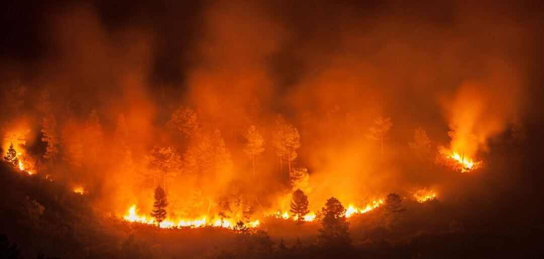 El Amazonas, en estado de emergencia por los graves incendios forestales