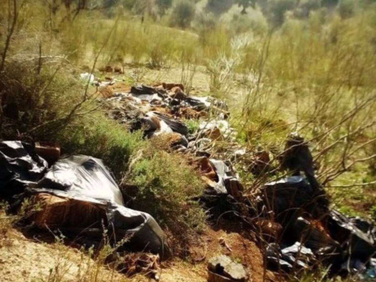 Aparecen unas 200 bolsas abandonadas con restos de cultivos de droga