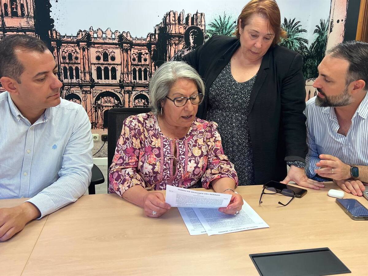 PSOE: "El PP ha dilapido unos 4 millones por gestionar mal las obras de la piscina del Puerto de la Torre de Málaga"