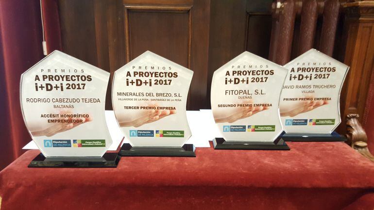 Galardones entregados en la primera edición de los &quot;Premios a Proyectos I+D+i 2017&quot; de la Diputación de Palencia