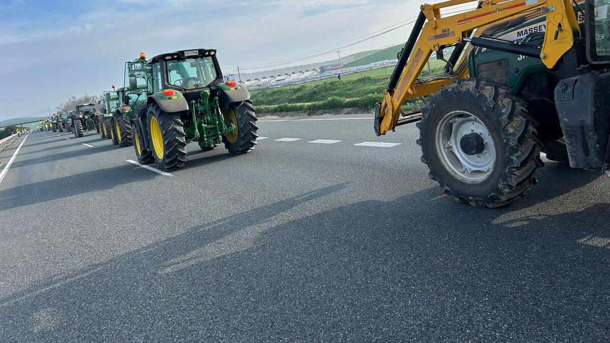 Entrevista Sonia Jornet que representa a los agricultores y ganaderos del norte de la provincia que han vuelto a sacar sus tractores en Los Pedroches y el Alto Guadiato