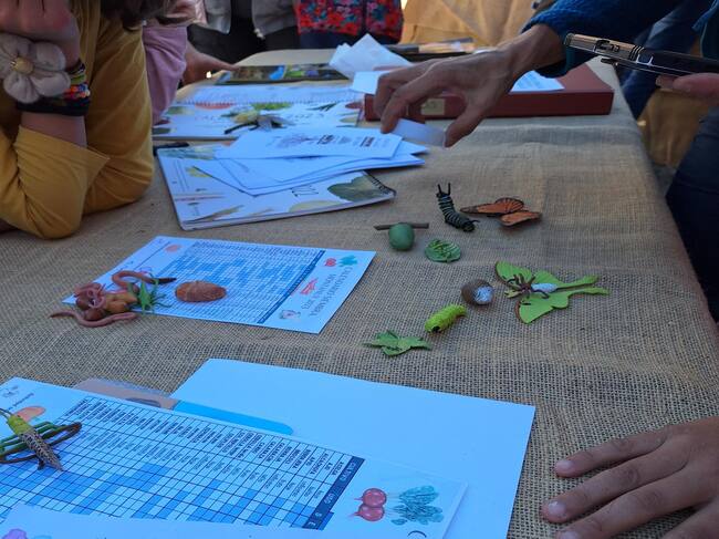 Imagen de las actividades realizadas