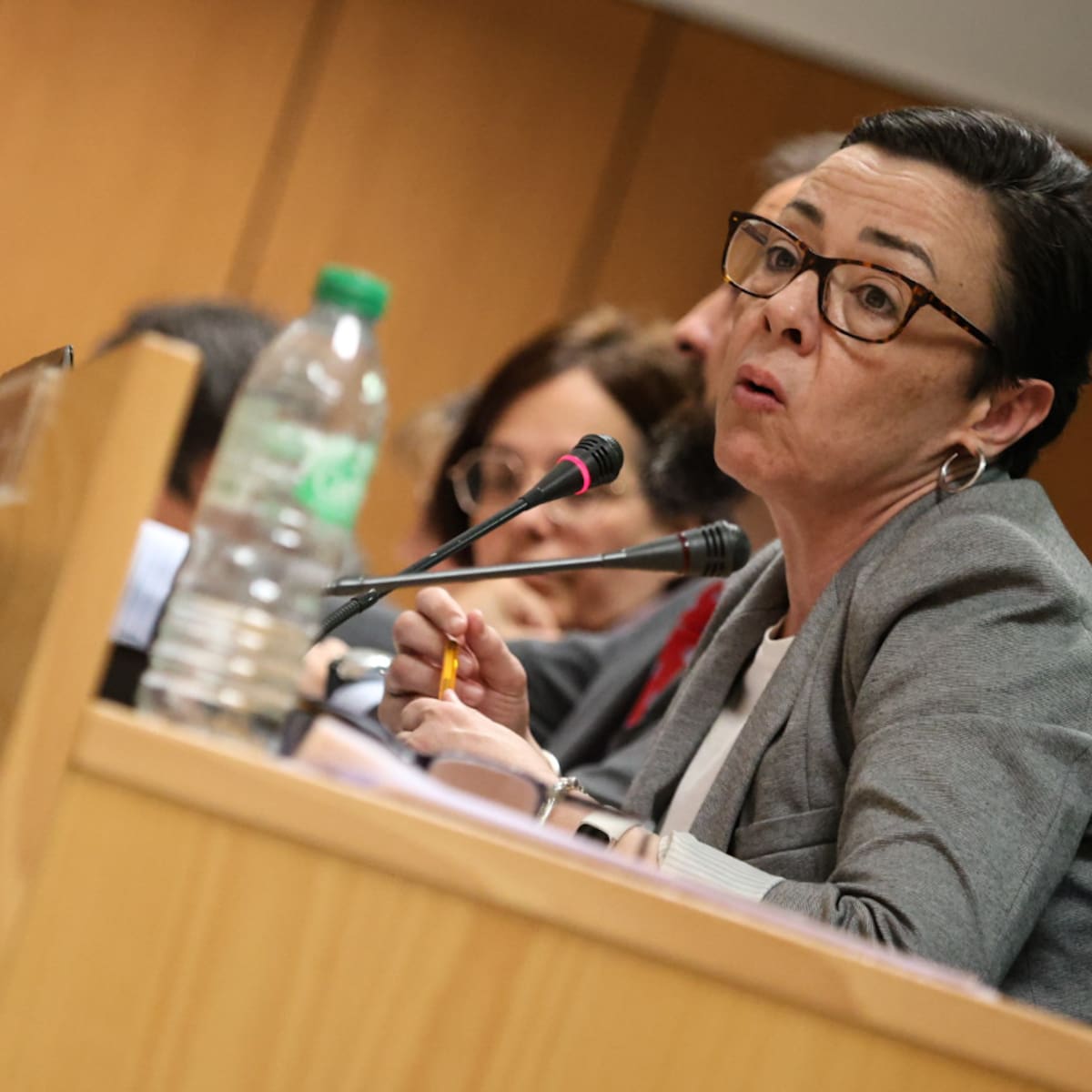 Más Madrid Sanse rechaza el Presupuesto de 2026 porque “prioriza las fiestas frente a las políticas sociales”