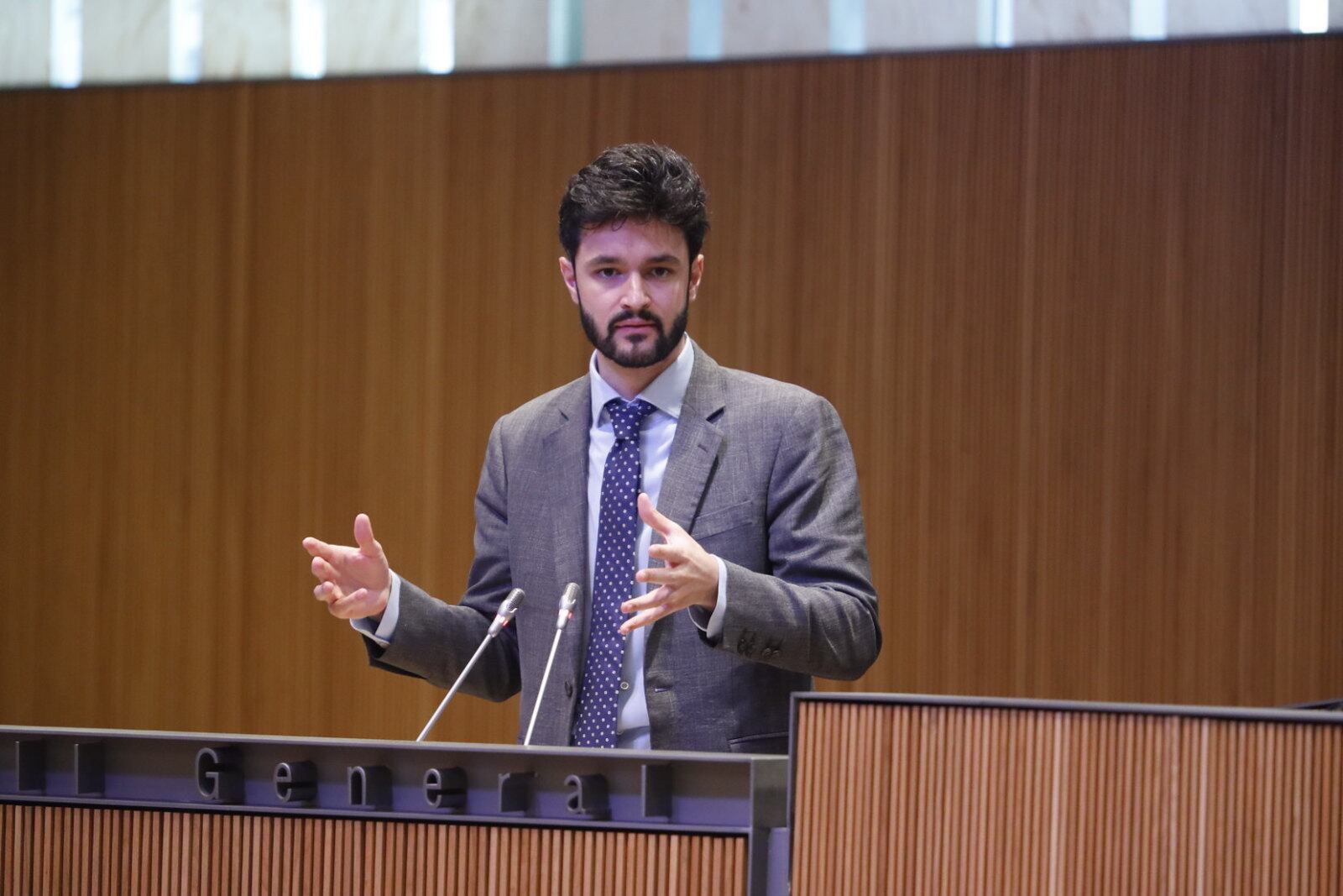 Escalé durant una sessió del Consell General.