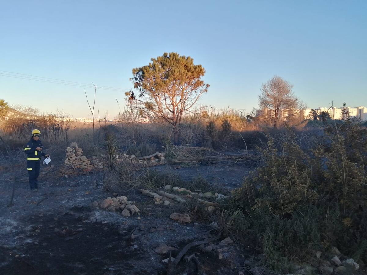 Un incendio calcina 4.000 metros de cañaveral en ses Feixes de Ibiza