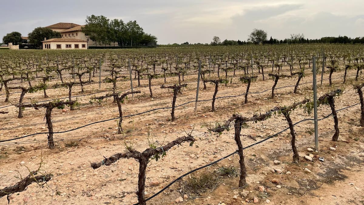 Jaraíz (21/06/2025)