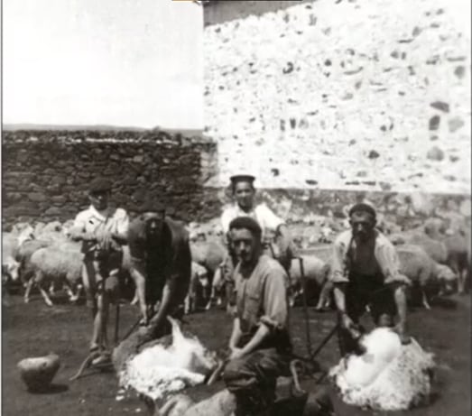 Escena de esquileo en la localidad de Huélamo (Cuenca).