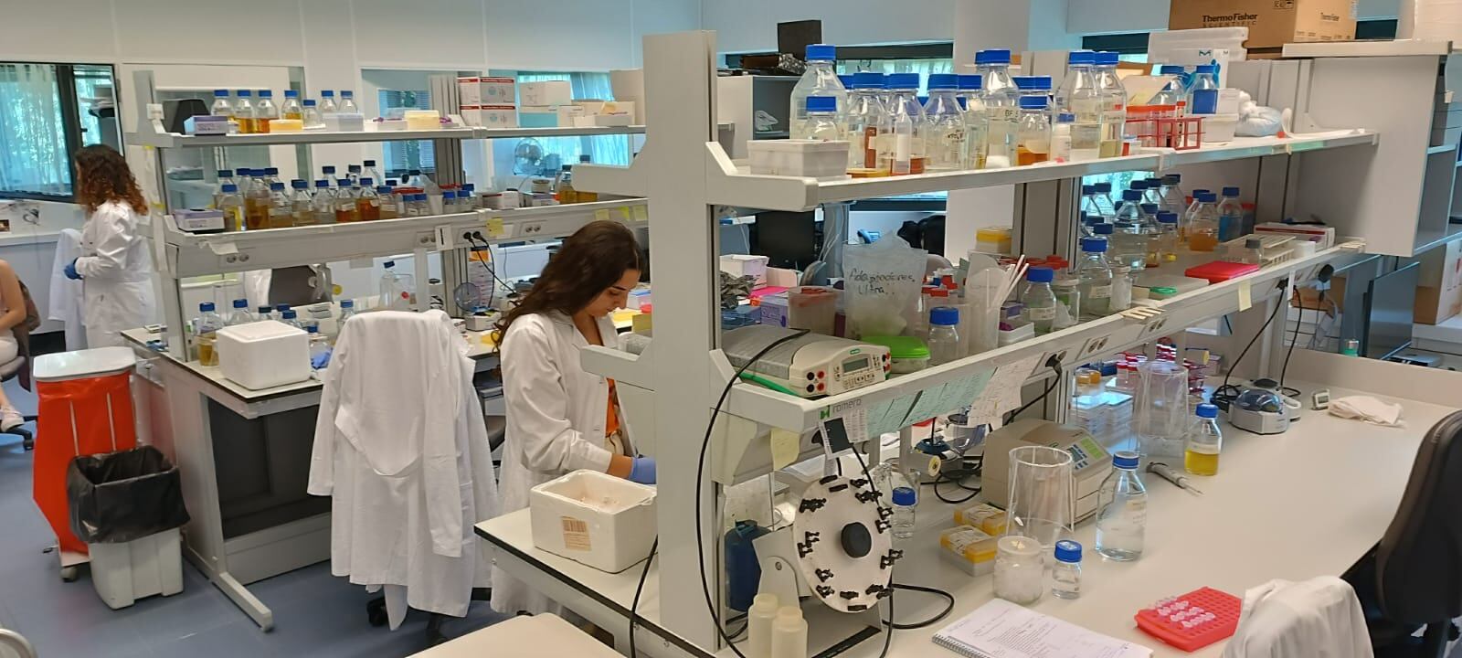 Investigadores trabajando en el Instituto de Agrobiotecnología en Mutilva