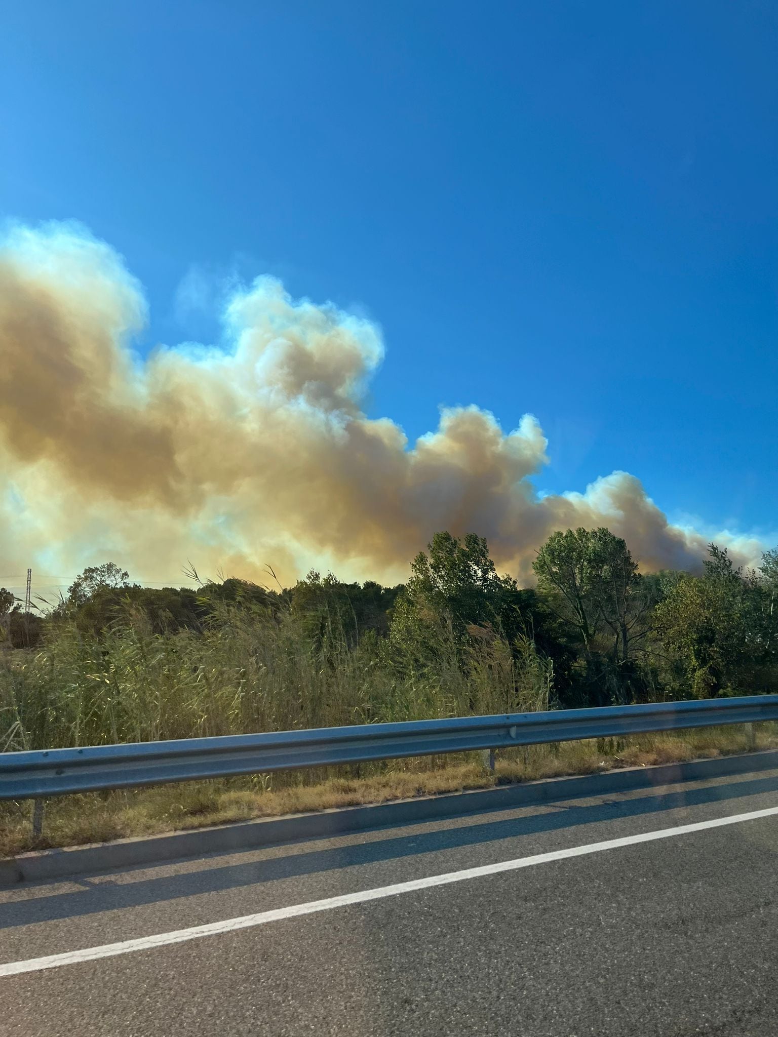 Incendi a l&#039;Alt Empordà