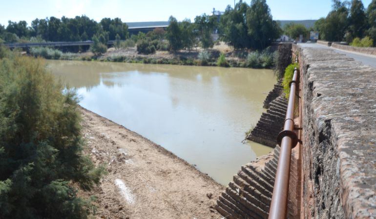 Río Guadalquivir a su paso por Andújar y Puente Romano