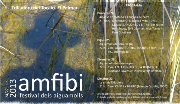 Cartel y programa de Amfibi 2013