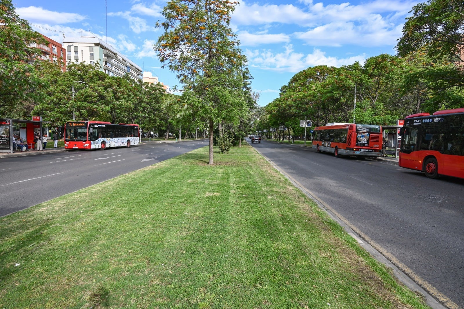 Autobuses de la EMT circulando por la avenida Blasco Ibáñez de València