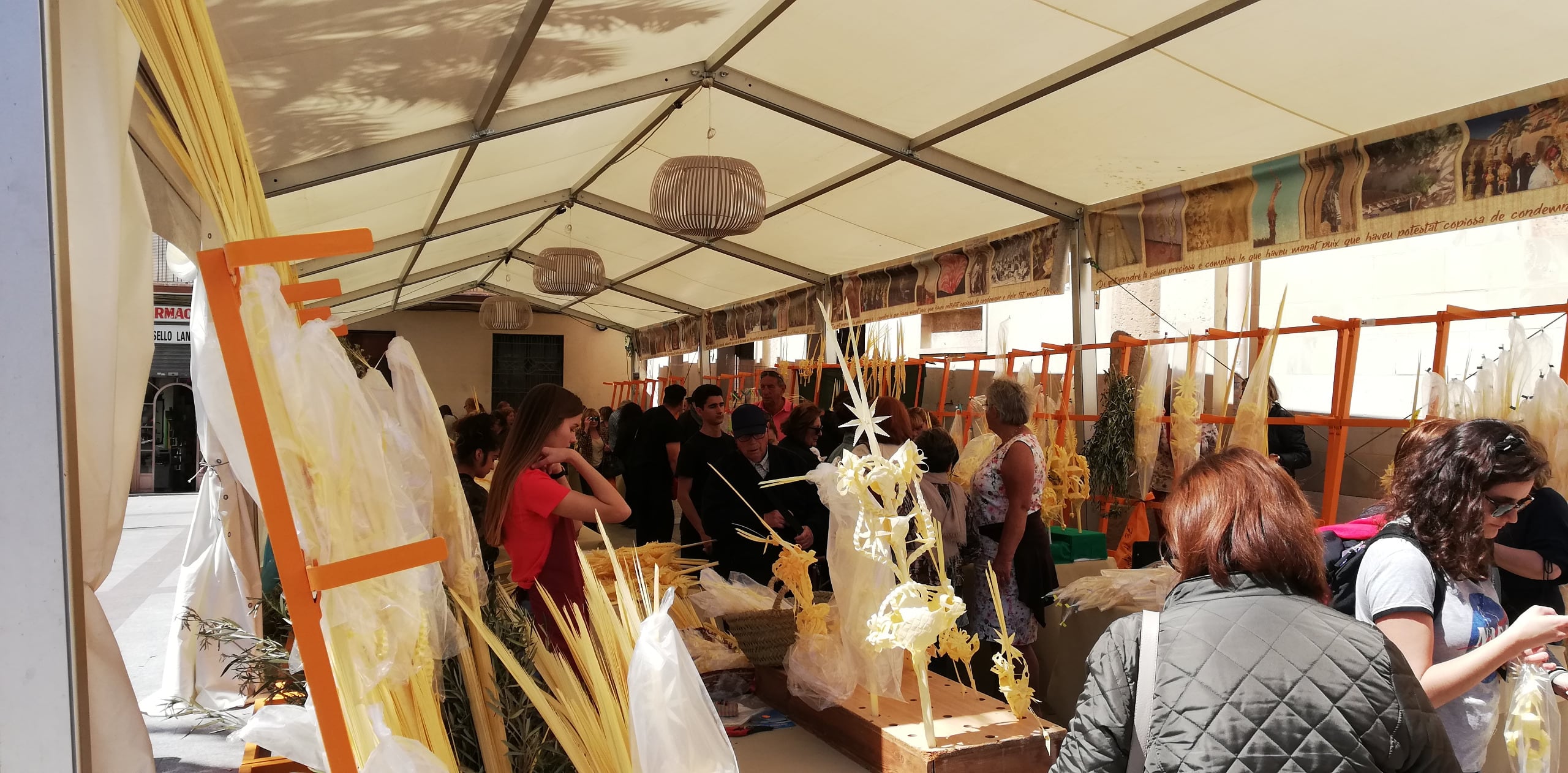 El Mercado de la Palma Blanca en Elche