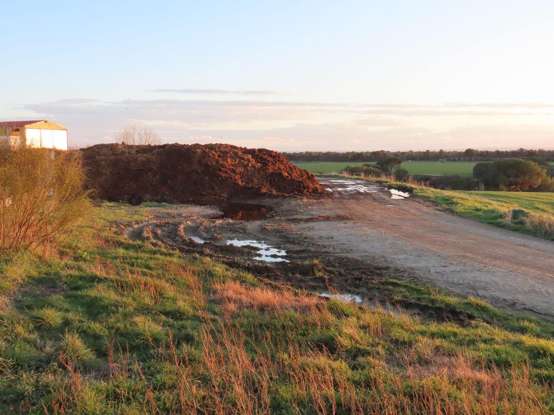 Purines depositados cerca de una granja de cerdos