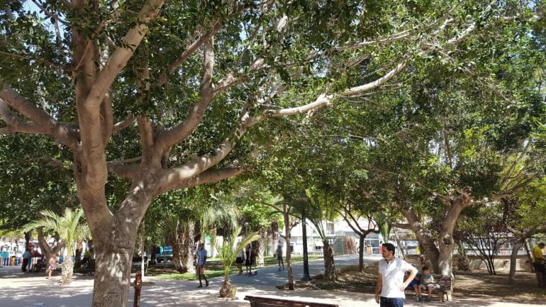 David Caballero, portavoz de Ciudadanos, en el Parque de la Aparadora