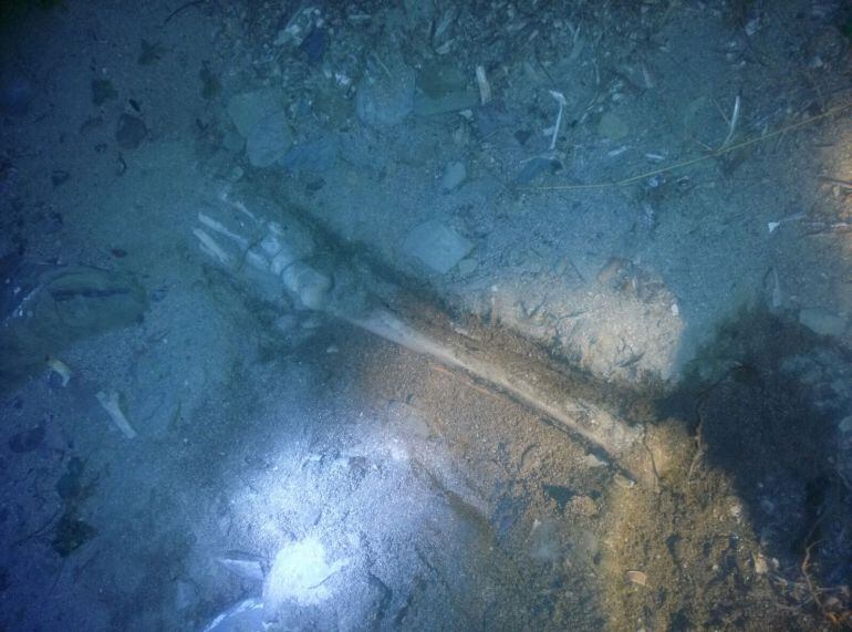 Una de les restes localitzades a la Platja del Ros, a Cadaqués, que podria ser una cama