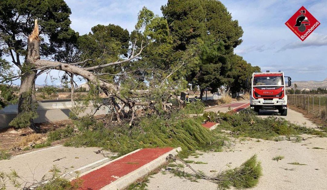 Actuación de los bomberos en Novelda 