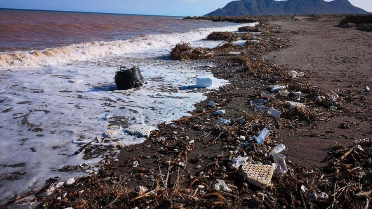 Llamamiento para limpiar Marina de Cope de basuras y plásticos