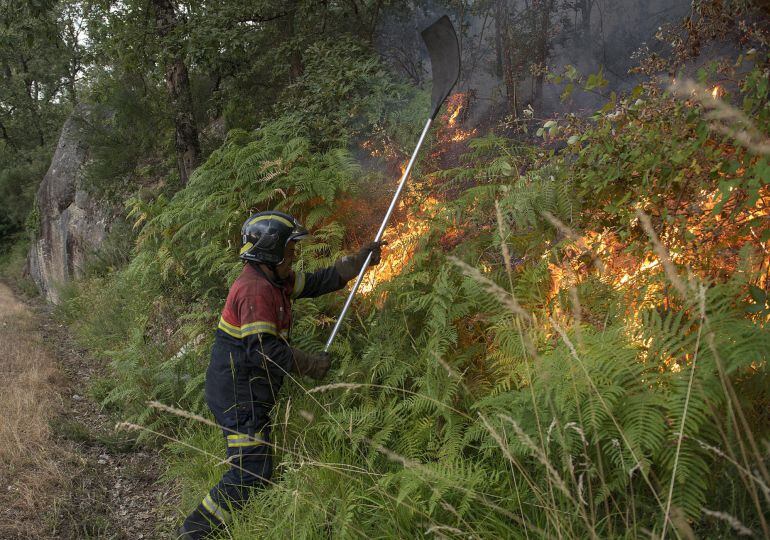 INCENDIO FORESTAL EN LOBIOS