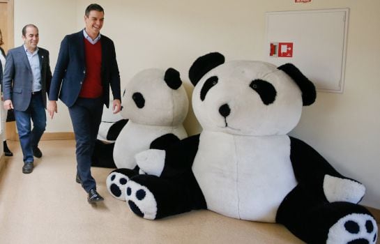 El secretario general del PSOE, Pedro Sánchez, junto al secretario general de WWF Juan Carlos del Olmo.