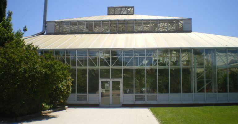 Antiguo invernadero en el Arroyo de la Vega de Alcobendas 