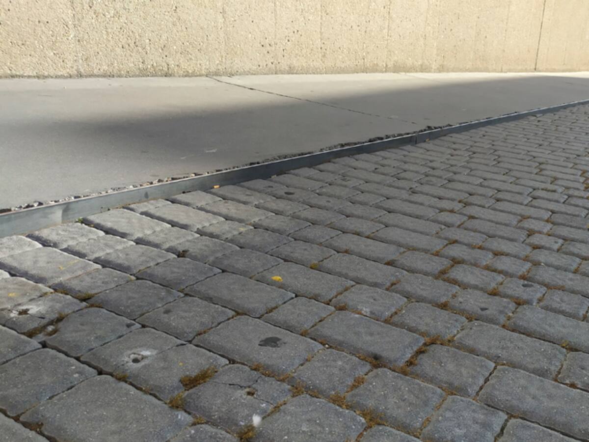 Se solicita un paso de cebra