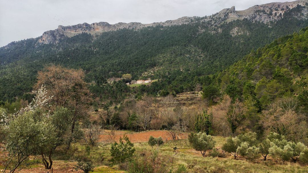 Valle del río Tus