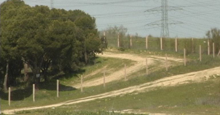 Zonas verdes en la zona norte de Madrid