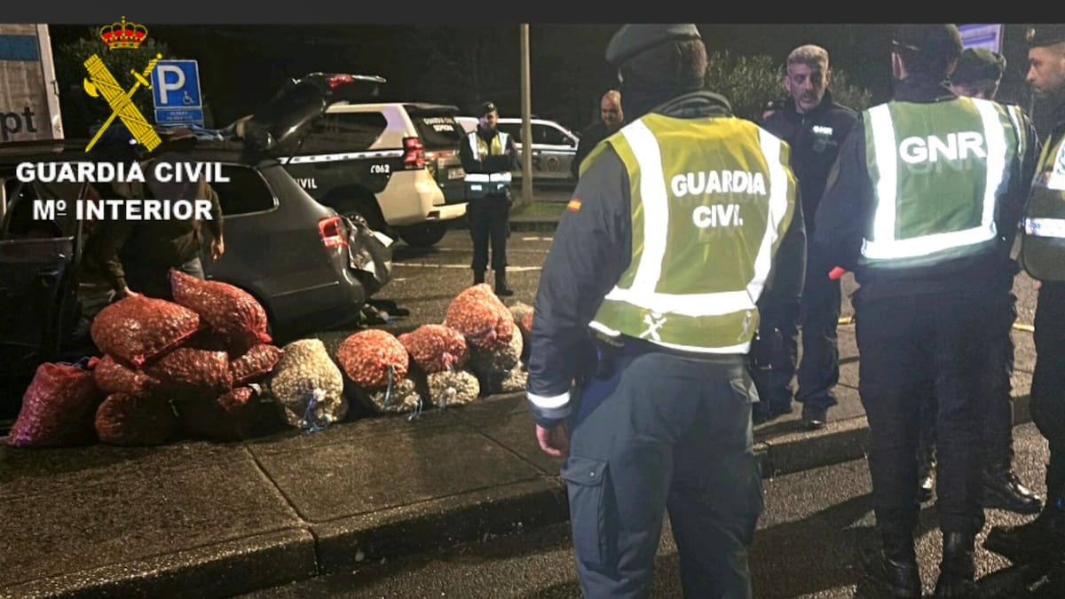 Interceptada una tonelada y media de bivalvos y un vehículo robado en Valença