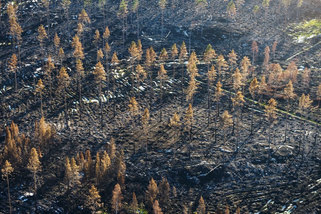 El cambio climático pone ya en riesgo a la civilización humana