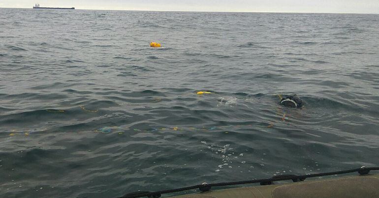 Buzos contratados por la empresa municipal se sumergen mar adentro para inspeccionar el estado del emisario.  