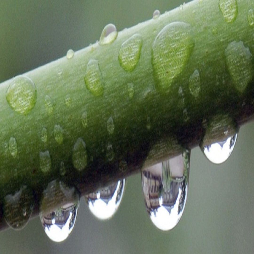 El mundo mágico del agua subterránea.