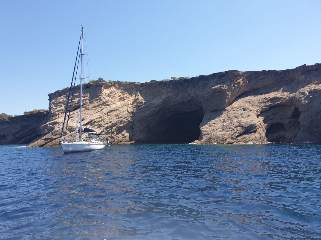 Se quiere proteger el 30% de áreas marinas en 2030