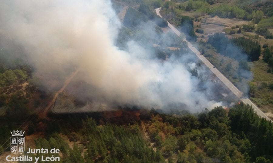 Incendio de Berlanga en 2022