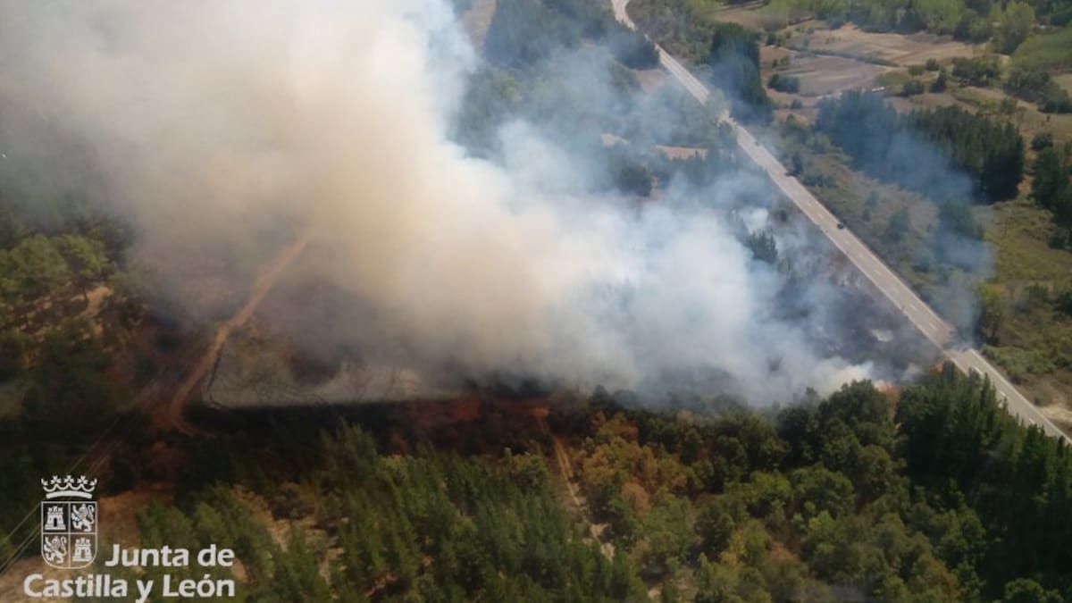 Las ayudas del Gobierno dejan fuera las explotaciones apícolas afectadas por los incendios